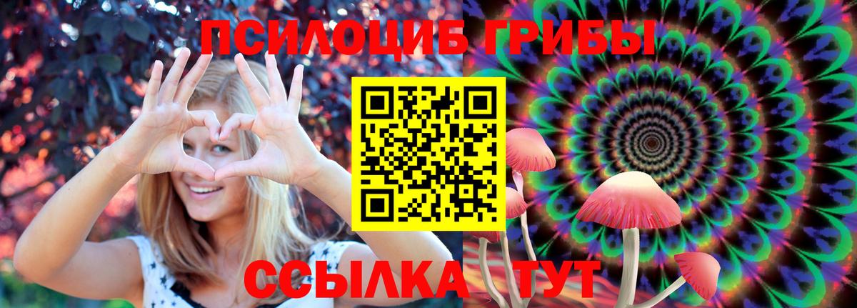 Галлюциногенные грибы Cubensis  Вход с VPN  Набережные Челны  купить   Псилоцибиновые грибы MAGIC MUSHROOMS 