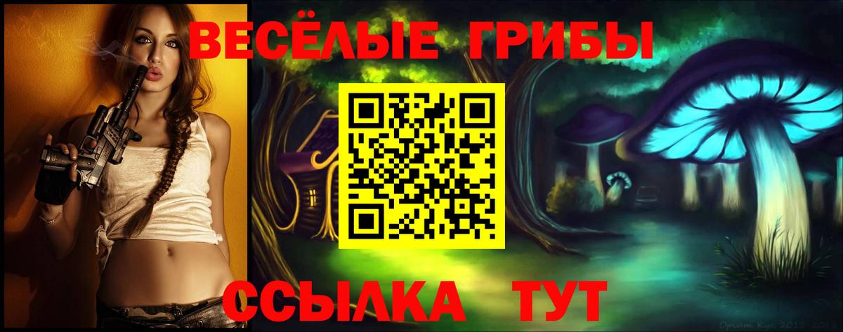 Лсд 25 Набережные Челны